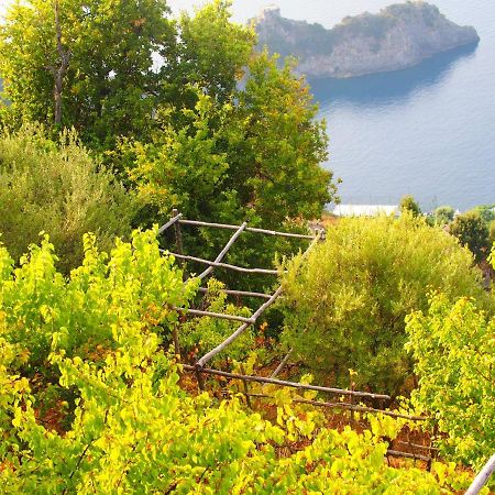 Apartamento Giardino Sul Mare Amalfi Exterior foto