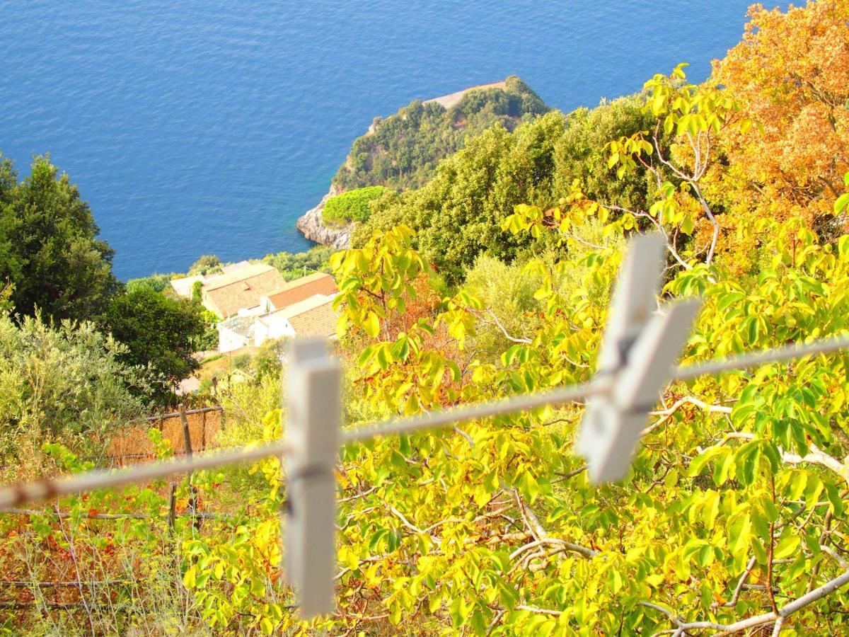 Apartamento Giardino Sul Mare Amalfi Exterior foto